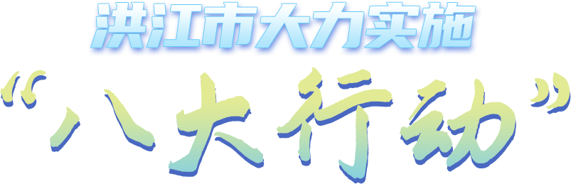 洪江市大力實(shí)施“八大行動(dòng)”